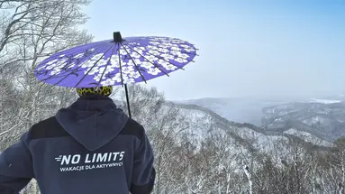 Ski Safari - Narty w Japonii