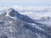Ski Safari - Narty w Japonii