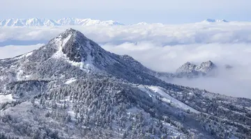 Ski Safari - Narty w Japonii