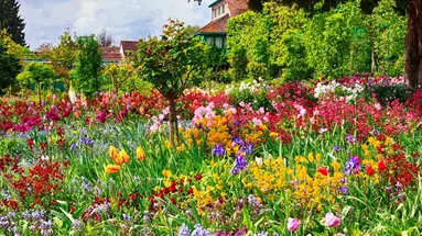 Śladami Impresjonistów - Paryż i Giverny