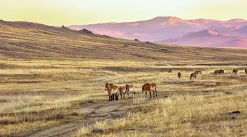 Śladami Wielkich Chanów: Od Ułan Bator do Karakorum