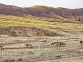 Śladami Wielkich Chanów: Od Ułan Bator do Karakorum