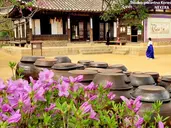 Słodko-pikantna Korea Południowa