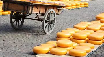 Smaki Holandii: Amsterdam i Alkmaar