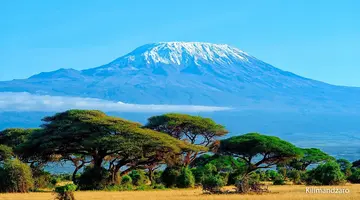 ŚNIEGI KILIMANDŻARO