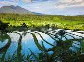 Śnij na Jawie, tańcz na Bali