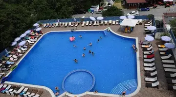 Sofia