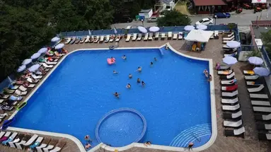 Sofia