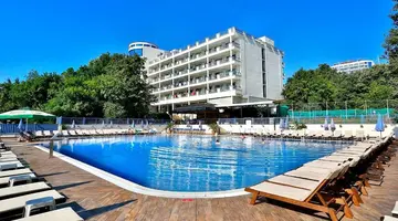 Sofia