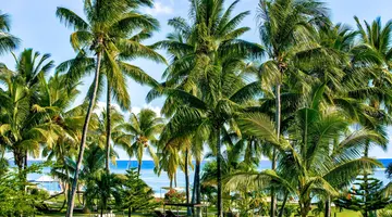 Sofitel Mauritius L’Impérial Resort & Spa