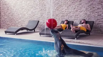 Sofra Health Institute Fit & Spa Karpacz