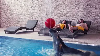 Sofra Health Institute Fit & Spa Karpacz