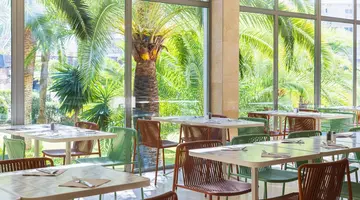 Sol Barbados