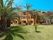 Sol Falcó All Inclusive