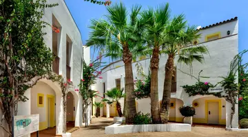 Sol Falco Menorca