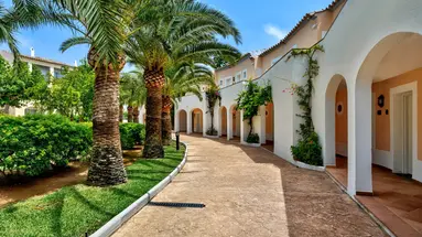 Sol Falco Menorca