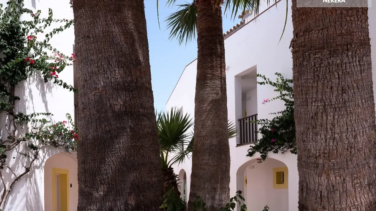 Sol Falco Menorca