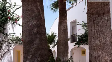 Sol Falco Menorca