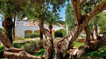 Sol Falco Menorca