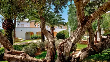 Sol Falco Menorca