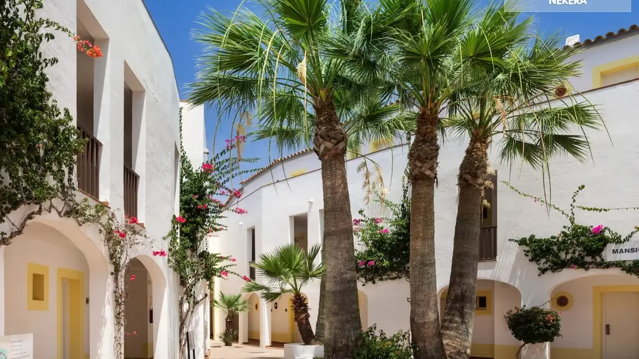 Sol Falco Menorca