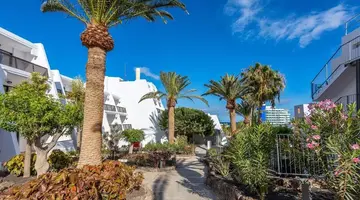 Sol Fuerteventura Jandia - All suites