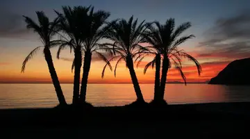 Sol Los Fenicios