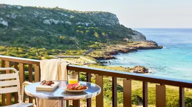 Sol Milanos Pinguinos
