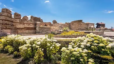Sol Nessebar Palace - All Inclusive