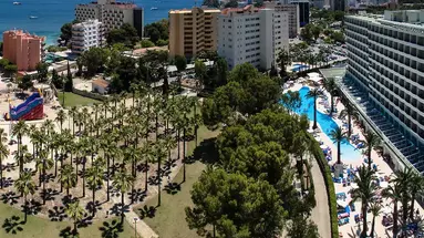 Sol Palmanova