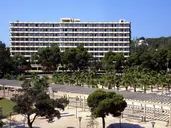 Sol Palmanova