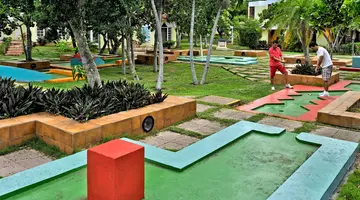 Sol Palmeras