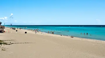Sol Palmeras