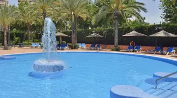 Sol Pelicanos Ocas