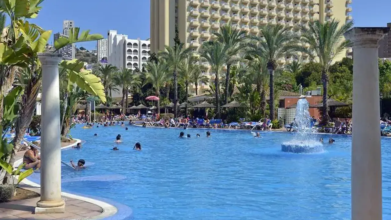 Sol Pelicanos Ocas