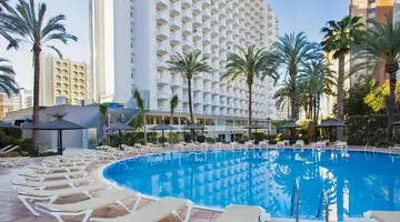 SOL PELICANOS OCAS