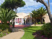 Sol Sancti Petri
