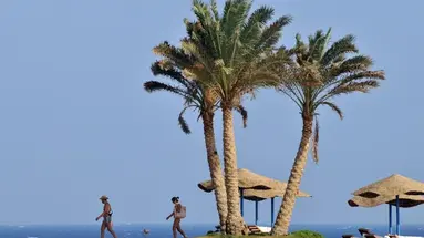 Sol Y Mar Reef Marsa Alam