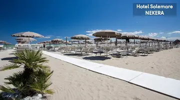 Solemare