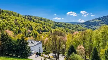 Solis Wellness & Rehabilitacja