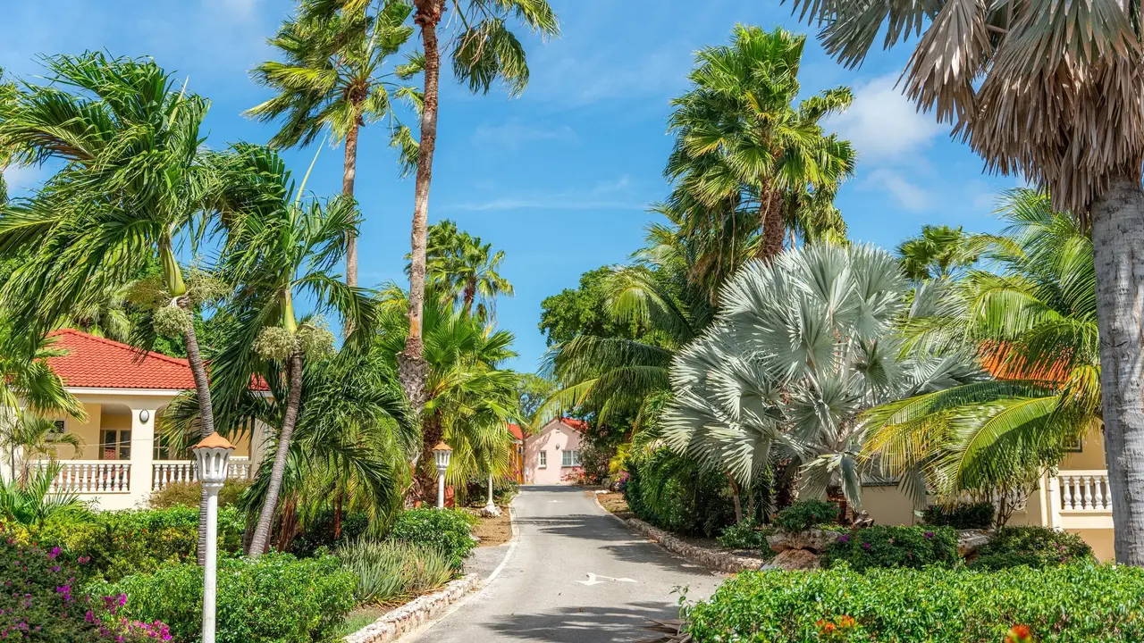 Sonesta Hotels & Resorts Livingstone Curaçao