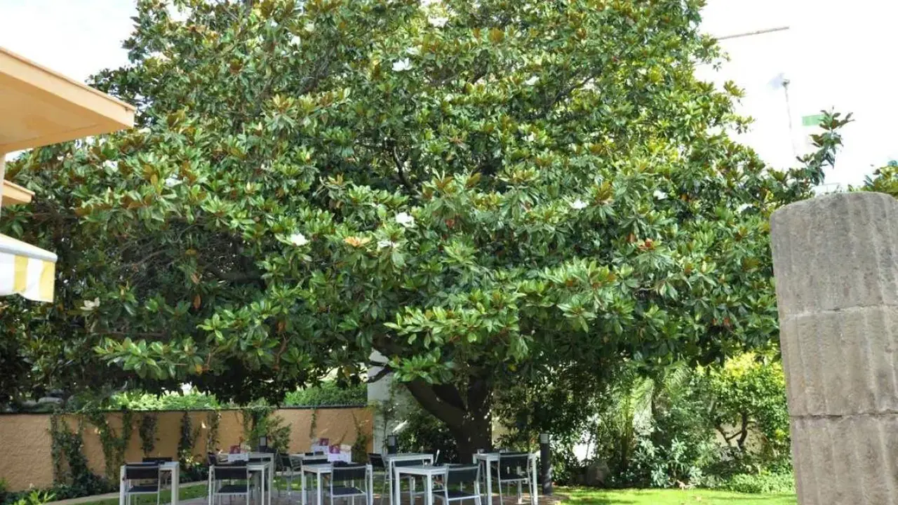 SORRABONA HOTEL