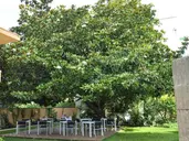 SORRABONA HOTEL
