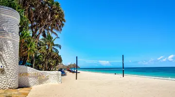 Southern Palms