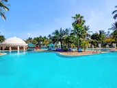 Southern Palms