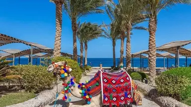 Sphinx Aqua Park Beach resort