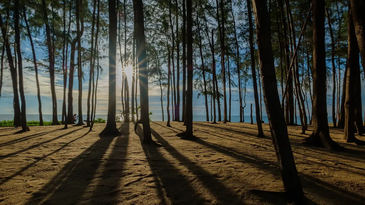SPLASH BEACH RESORT (ex. GRAND WEST SANDS)