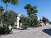 Splendour Resort
