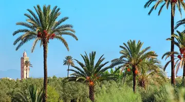 Spotkanie z Marokiem