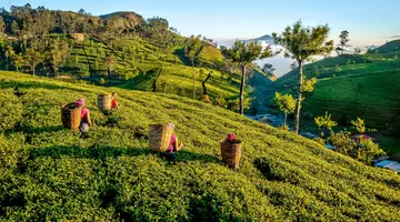 Sri Lanka - Esencja Cejlonu de lux